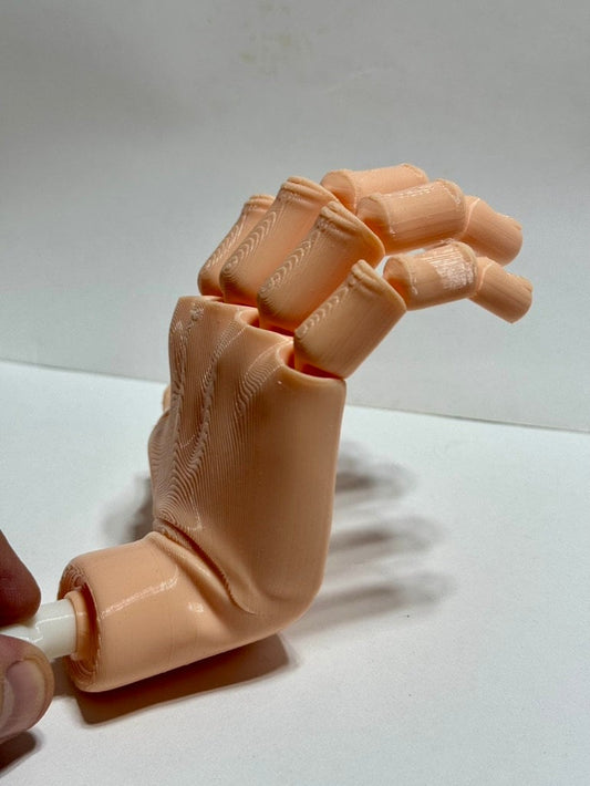 Articulated realistic hand